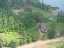 aerial shot 14